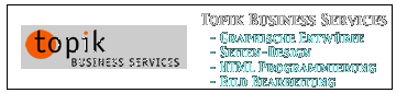 topik business services